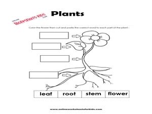 free kindergarten science worksheets and printable for kids