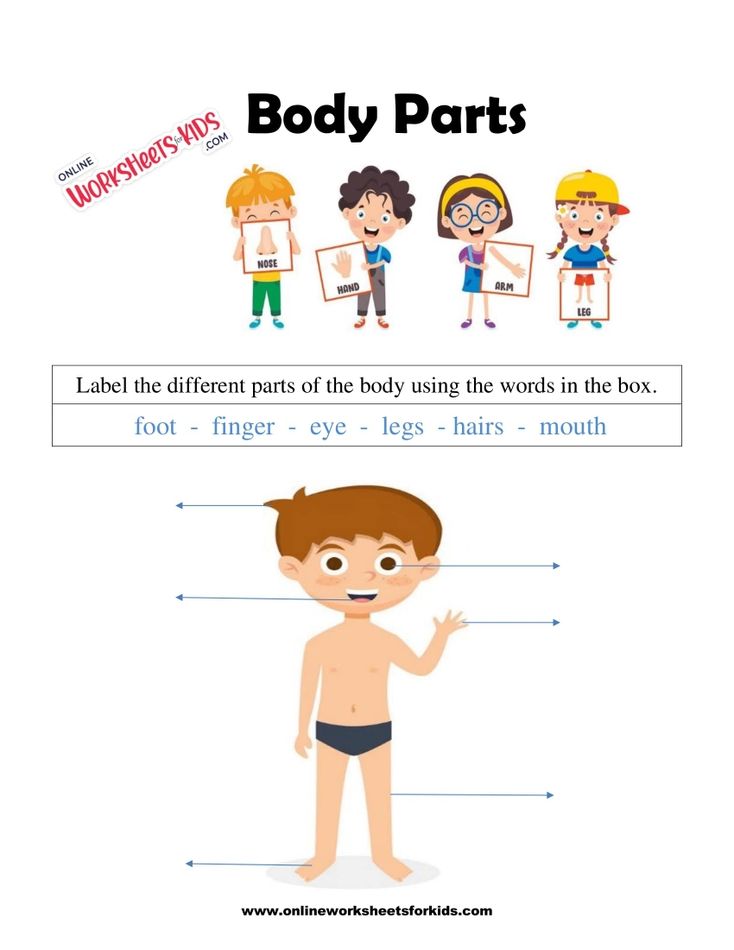 Body Parts Worksheet 9
