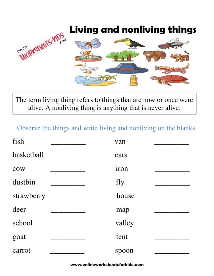 Living And Non Living Things Worksheets 4