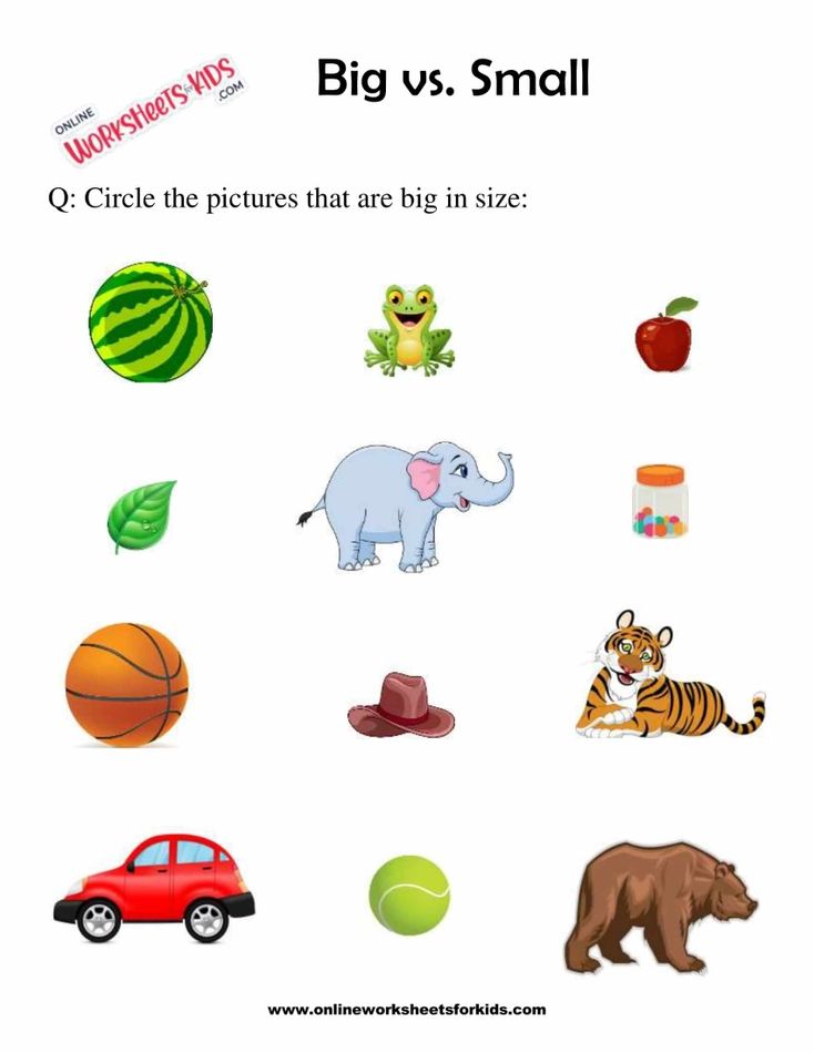 Circle The Shape That Is Bigger Or Smaller 4