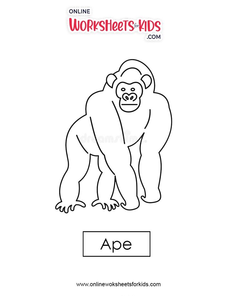 Ape