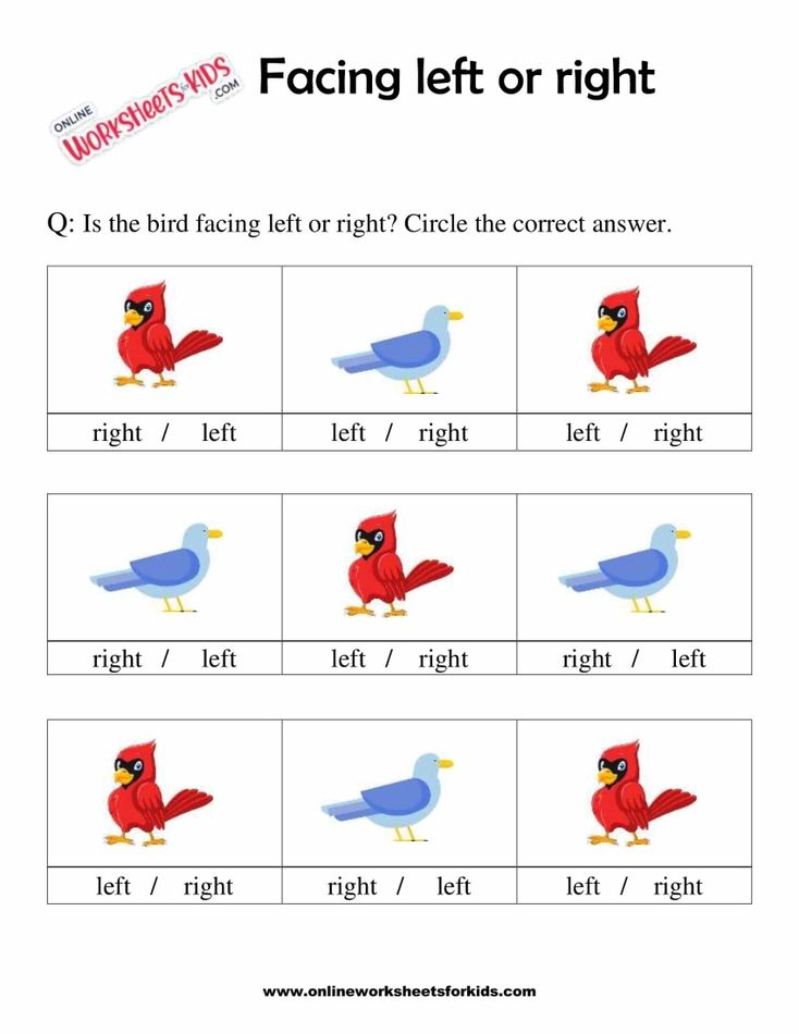 Facing Left And Right Worksheets 1