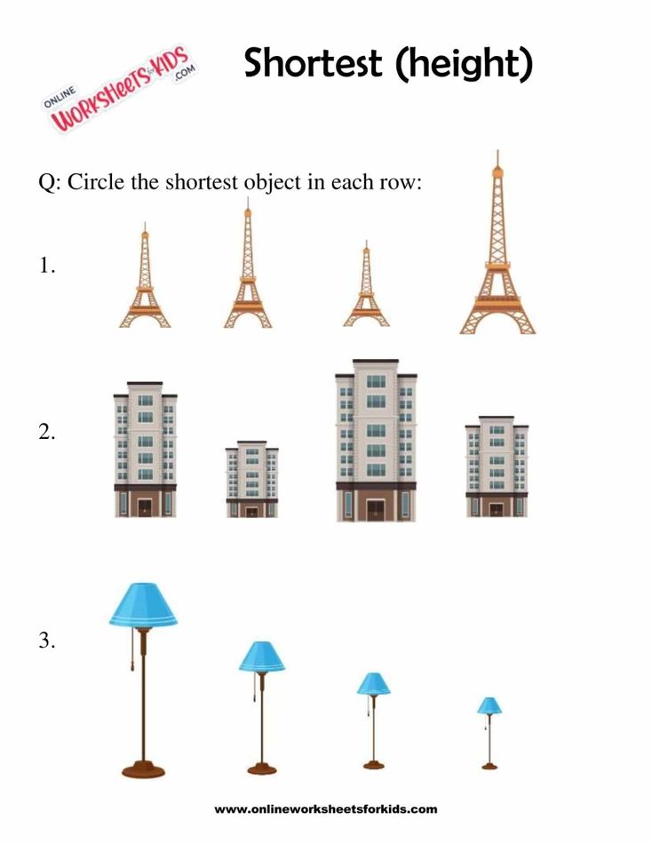 Identify The Tallest Or Shortest Picture 1