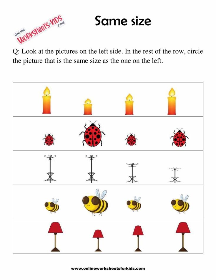 Circle The Picture Which Is The Same Size 6
