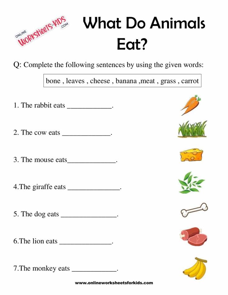 What Do Animals Eat Worksheet for Grade 1-7