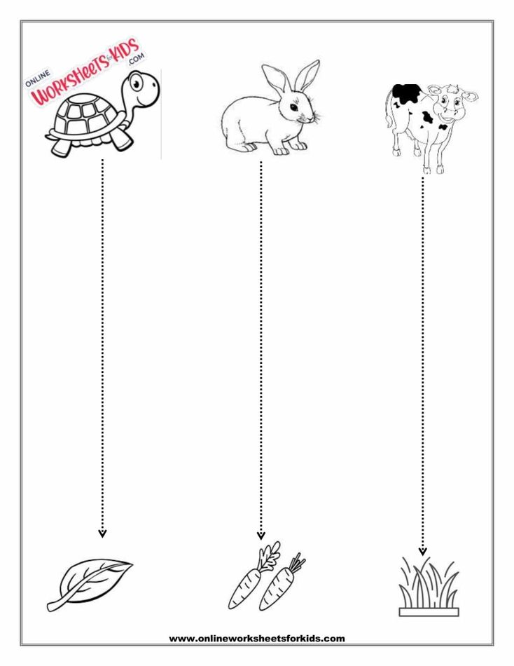 Vertical Line Tracing Worksheet 2