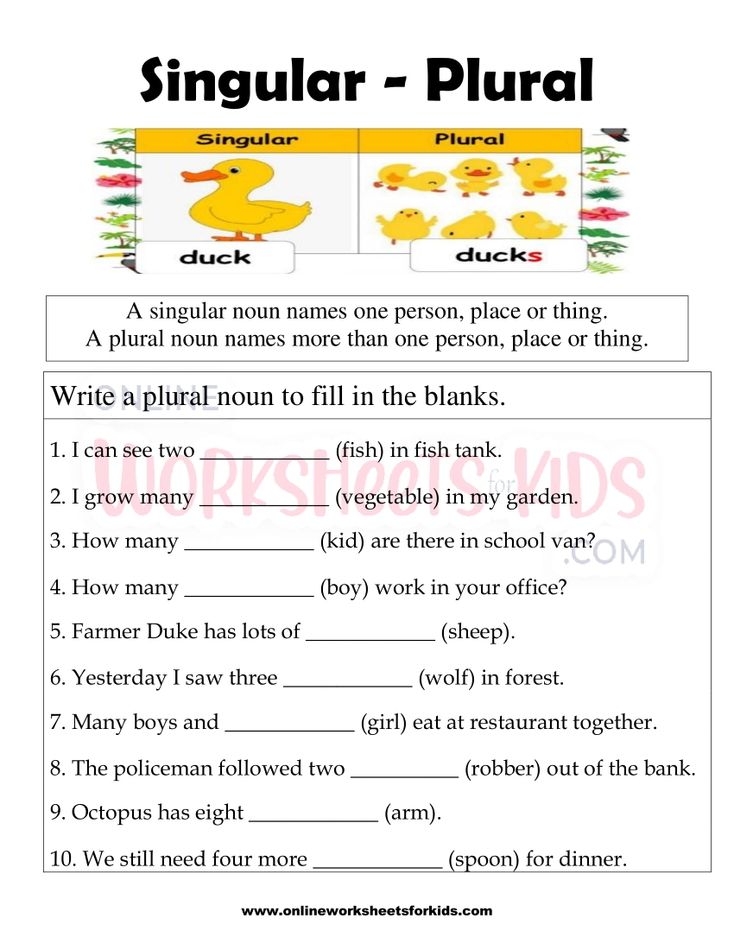 Singular and Plural Nouns FB Worksheet 8