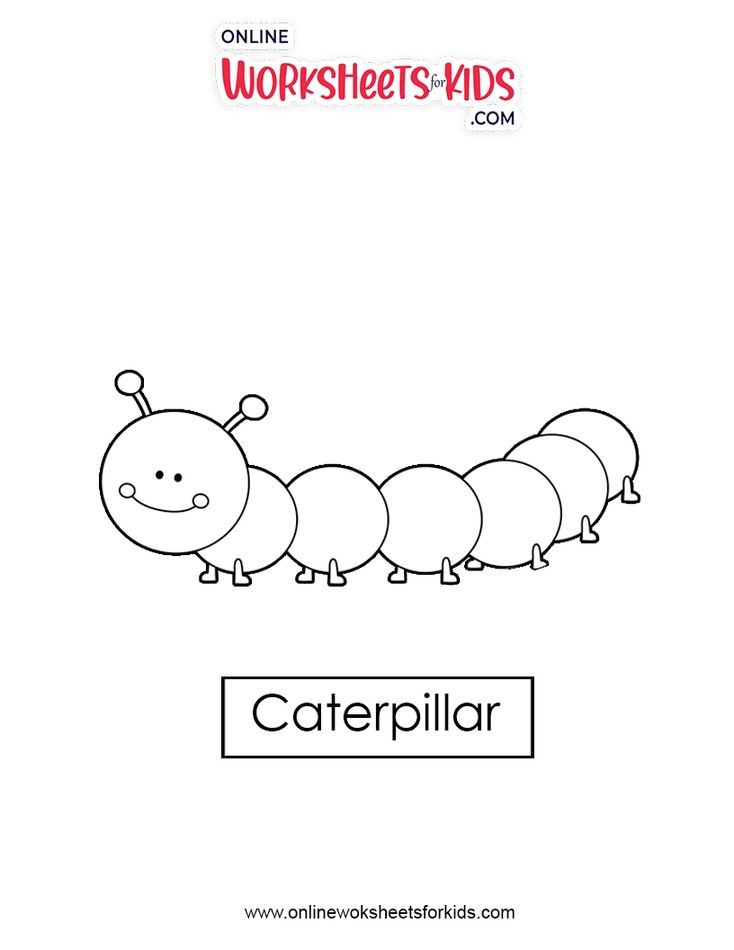 Caterpillar