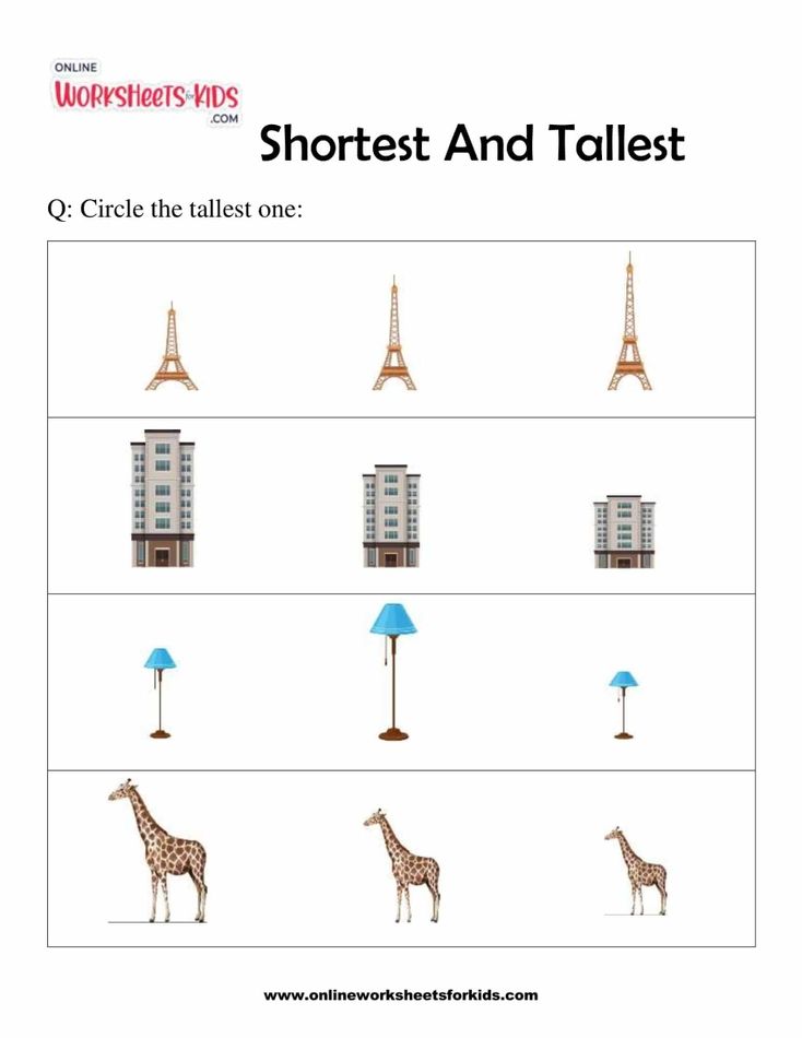 Tall, Taller, Tallest interactive worksheet