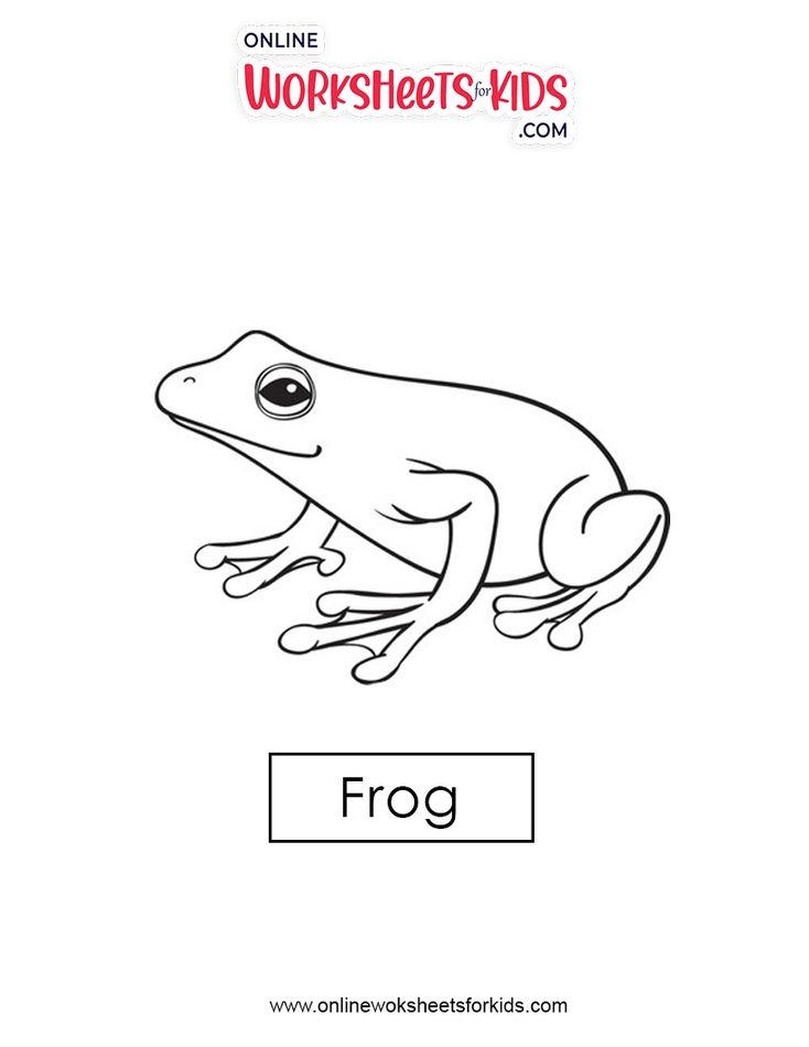 Frog