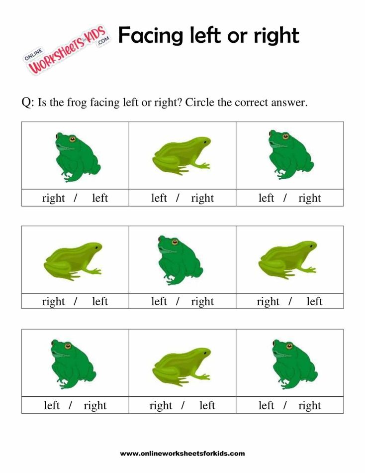 Facing Left And Right Worksheets 3