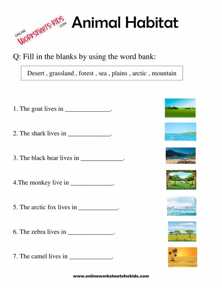 Animal Habitats Worksheets for Grade 1-4