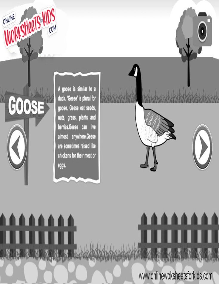 Goose