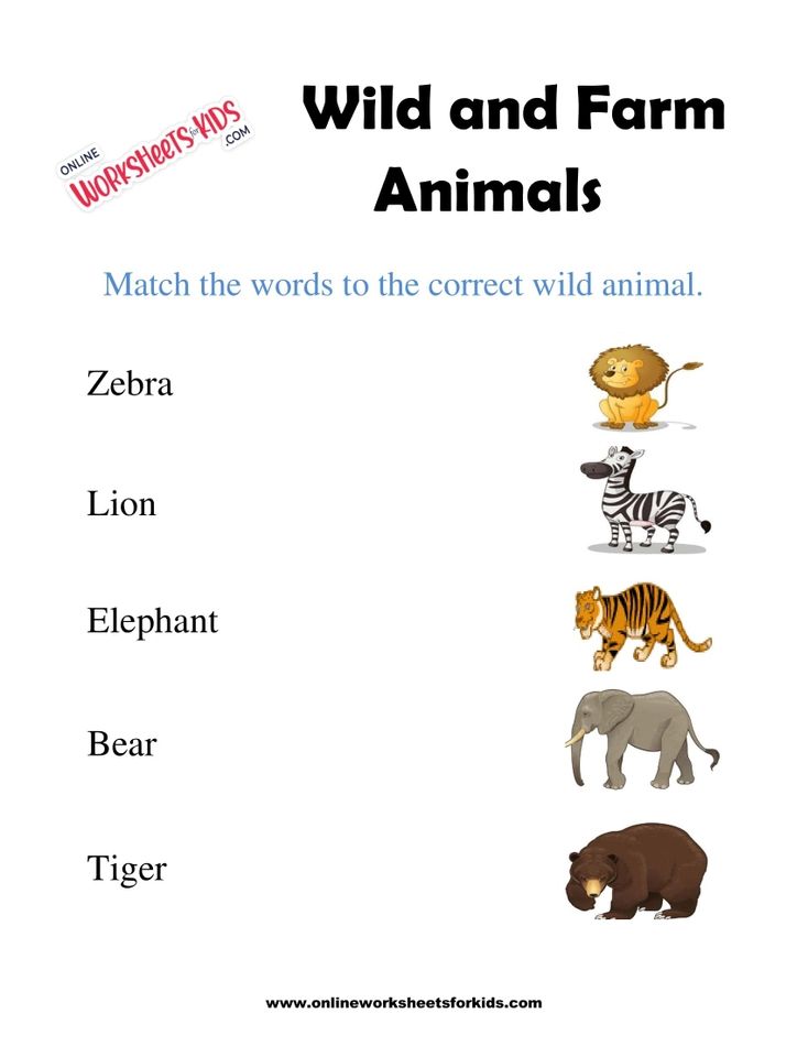 Wild And Farm Animals Worksheets 6
