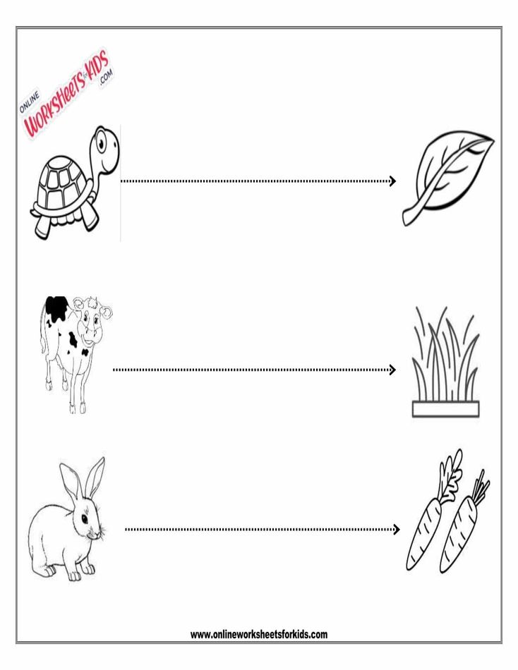 Straight Line Worksheet 2