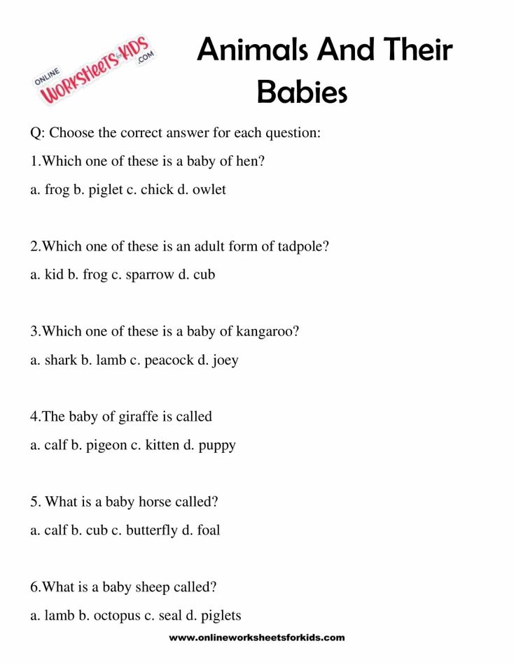 Animal And Their Babies Worksheet for Grade 1-8