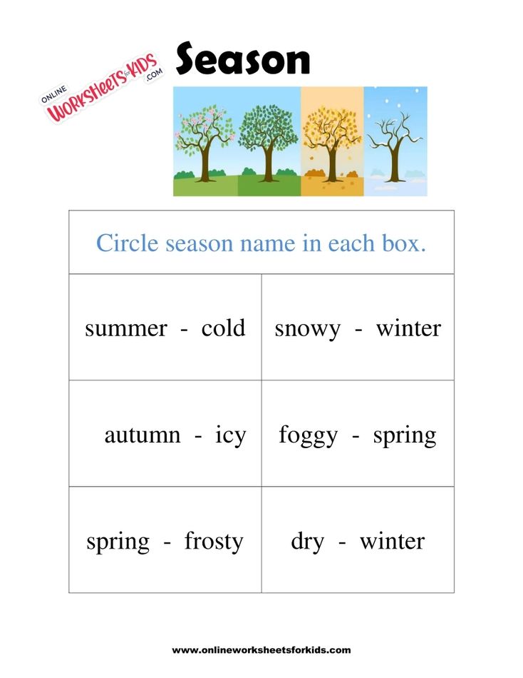 Season Worksheet 4