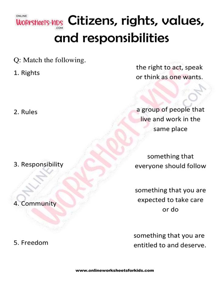 Citizen Rights and Responsibilities Worksheet 02