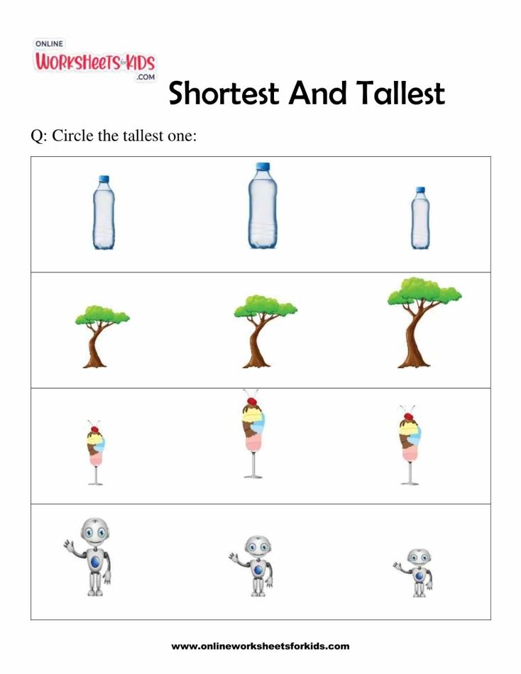 Shortest And Tallest 2