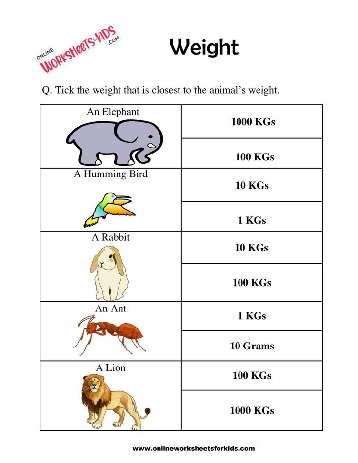 Mass and Weight Worksheet 08