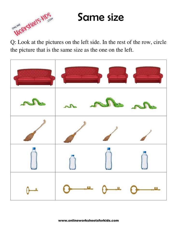 Circle The Picture Which Is The Same Size 5