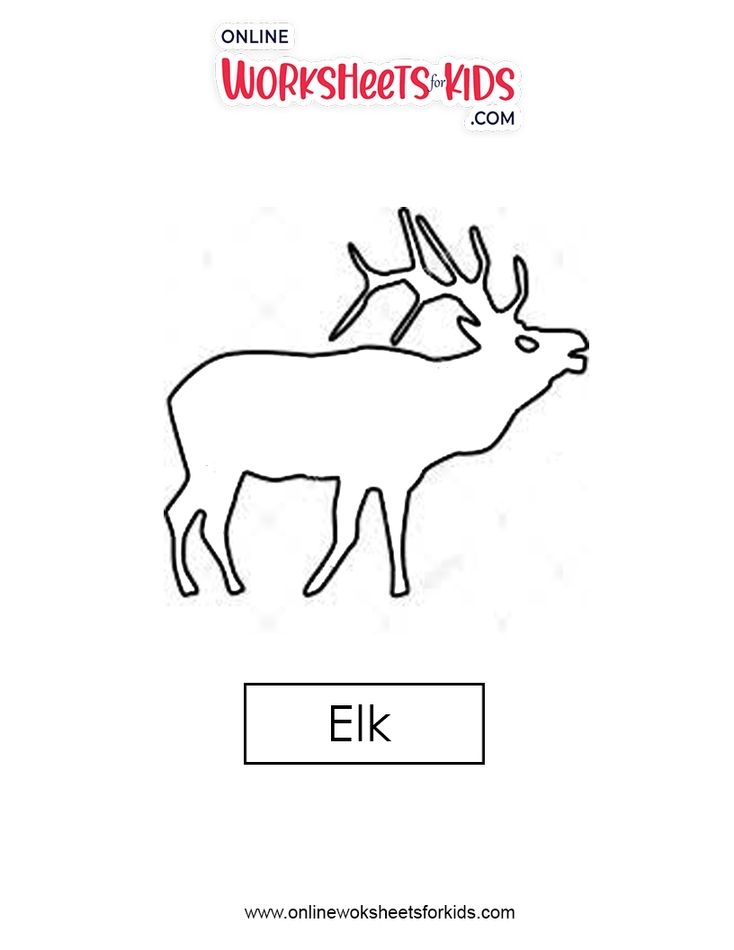 Elk