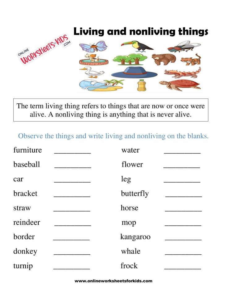 Living And Non Living Things Worksheets 3