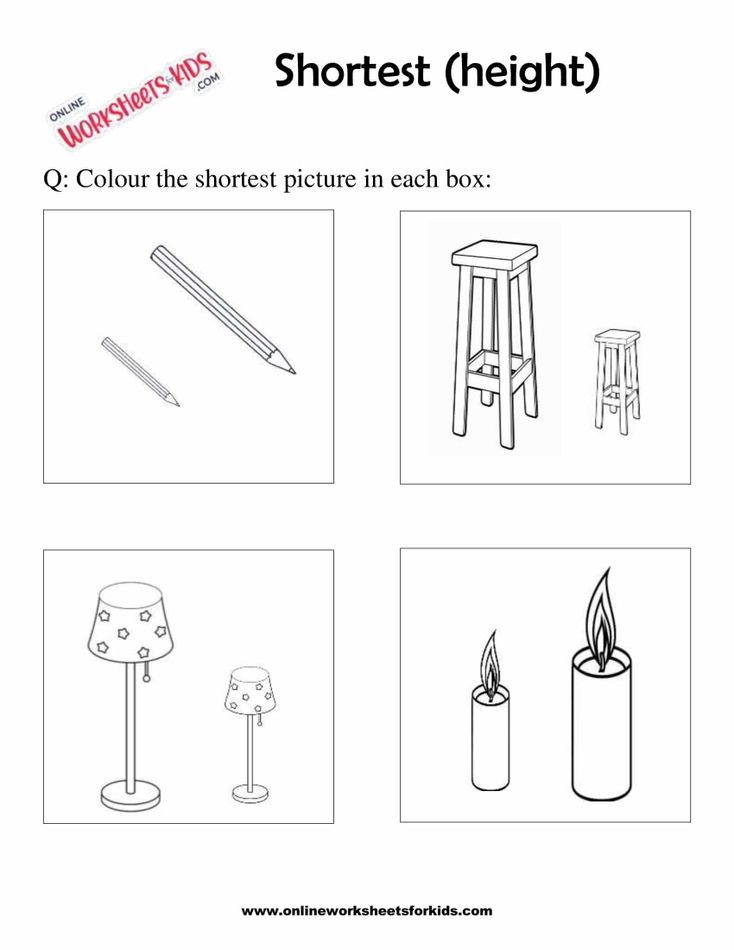 Identify The Tallest Or Shortest Picture 5