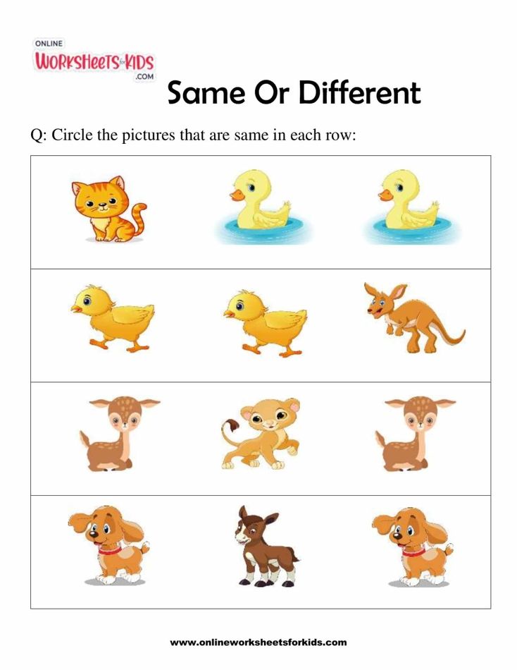 Same Or Different 7