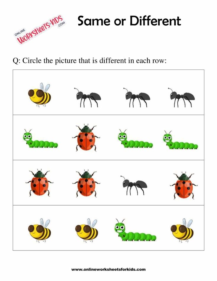 Same or Different Worksheets 9