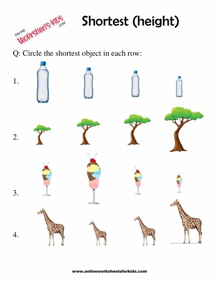 Identify The Tallest Or Shortest Picture 2