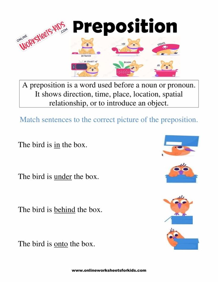 Preposition Worksheets for Grade 1-5