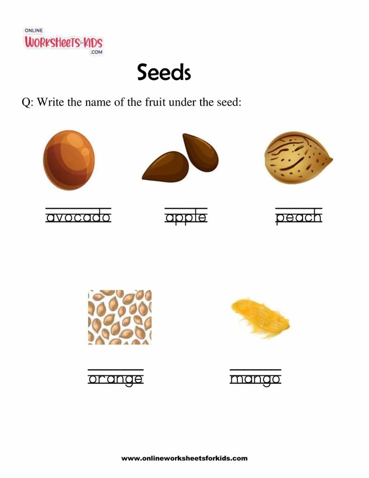 Seeds 4