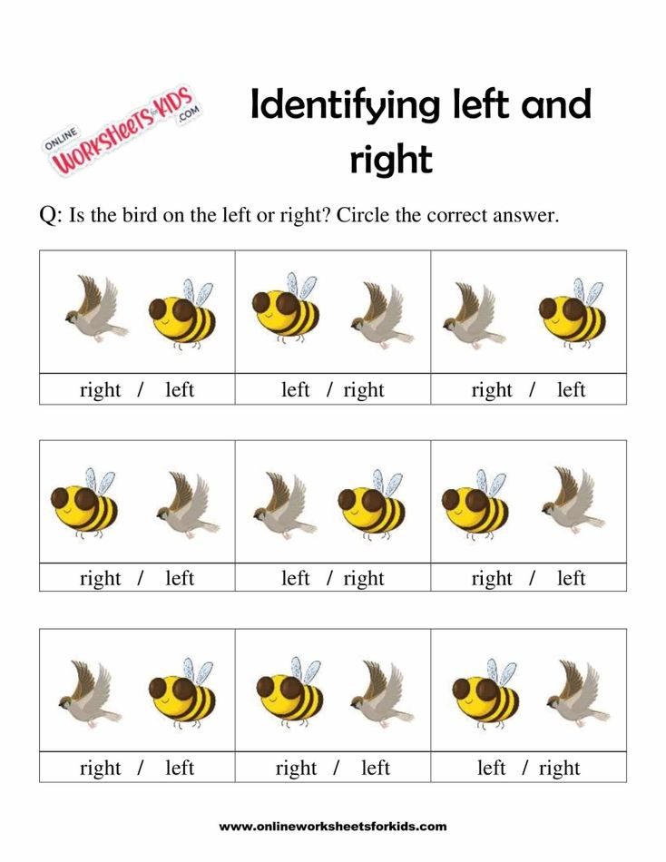 Left And Right Worksheets 2