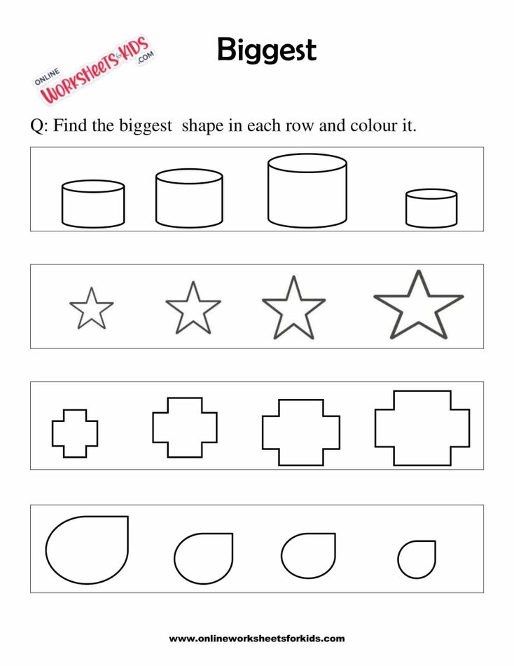 Color The Biggest Or Smallest Shape 5