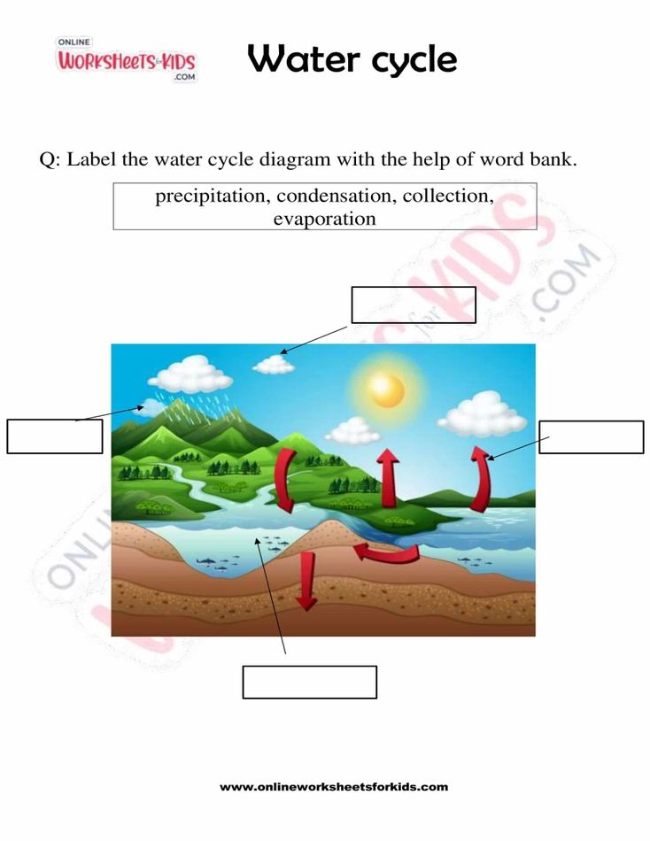 Water cycle worksheets For Kids 02