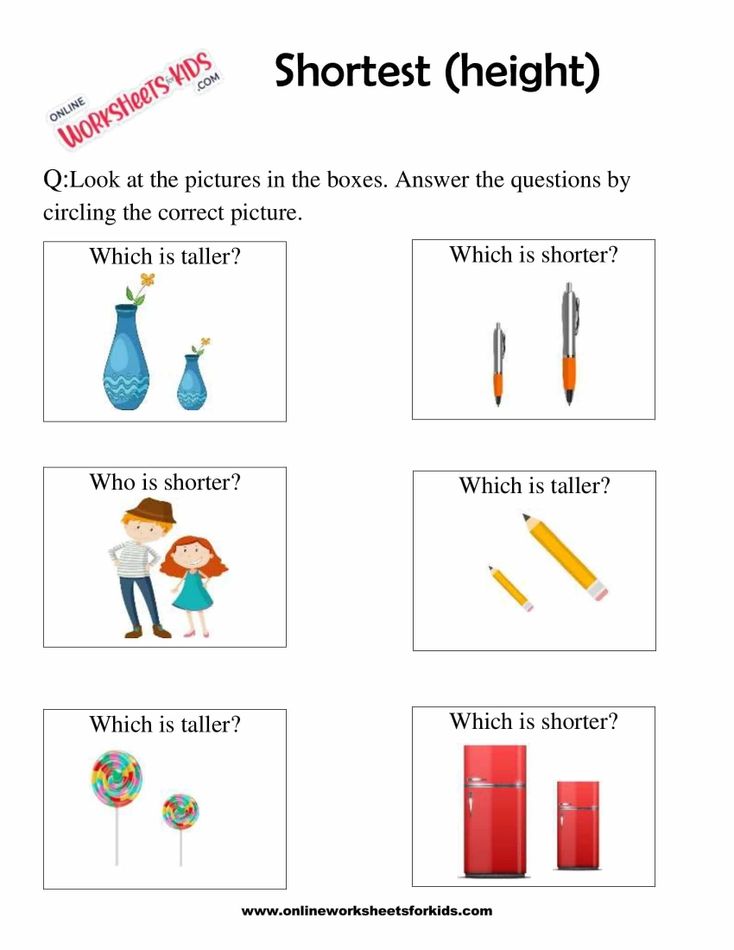 Identify The Tallest Or Shortest Picture 4