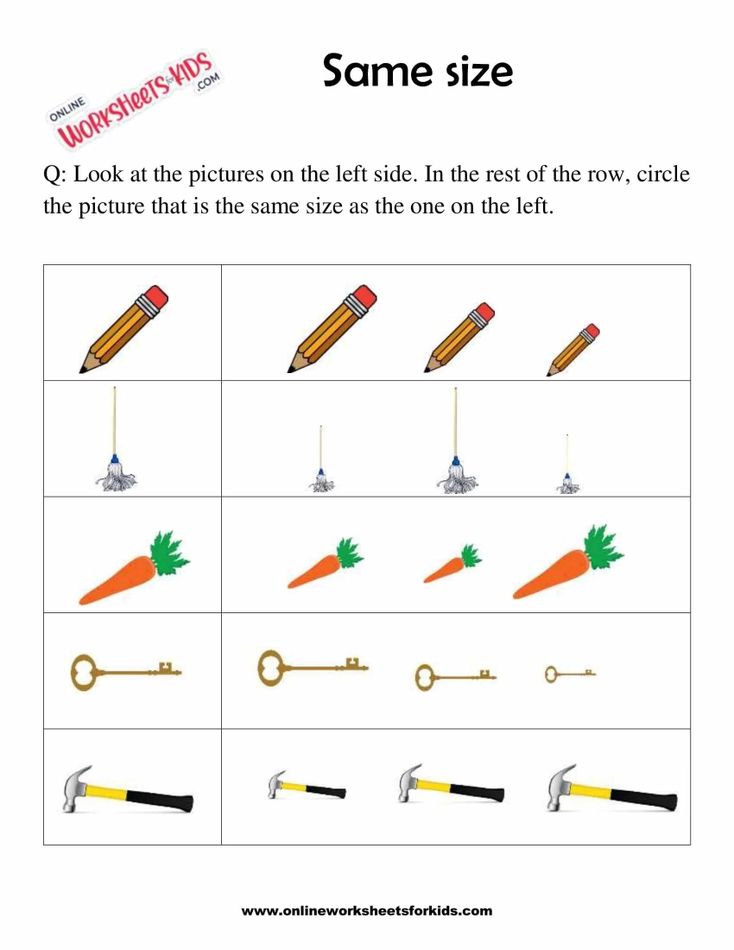 Circle The Picture Which Is The Same Size 2