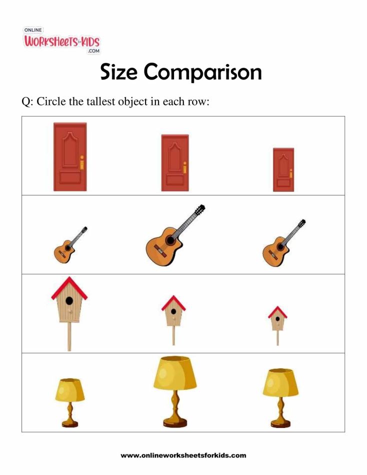 Size Comparison 6