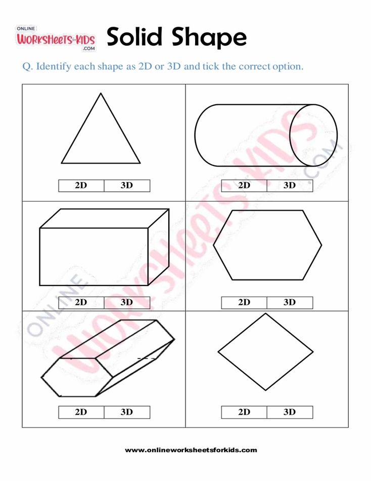 Solid Shapes 6