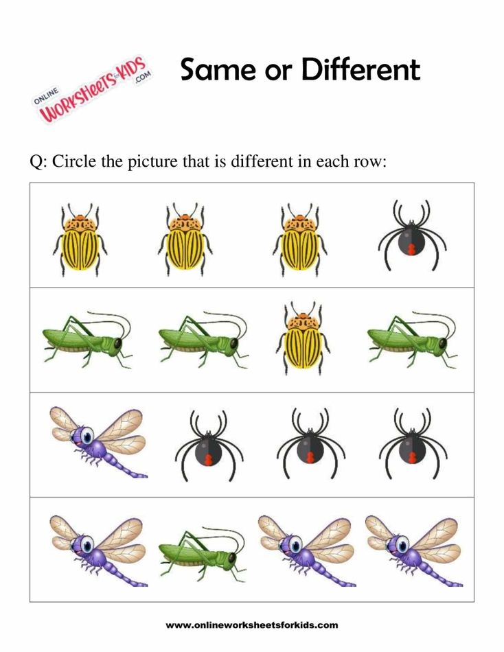 Same or Different Worksheets 10