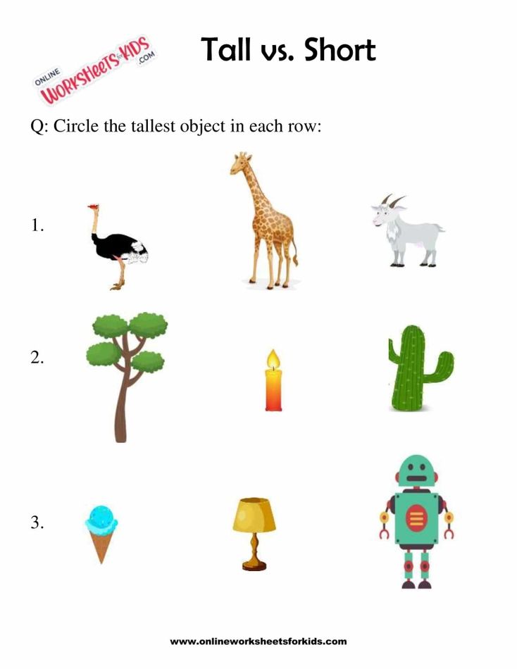 Circle The Taller Or Shorter Object 4