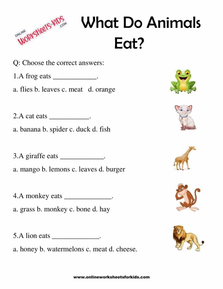 What Do Animals Eat Worksheet for Grade 1-6