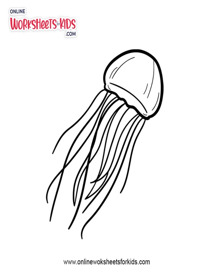 Jelly Fish Coloring
