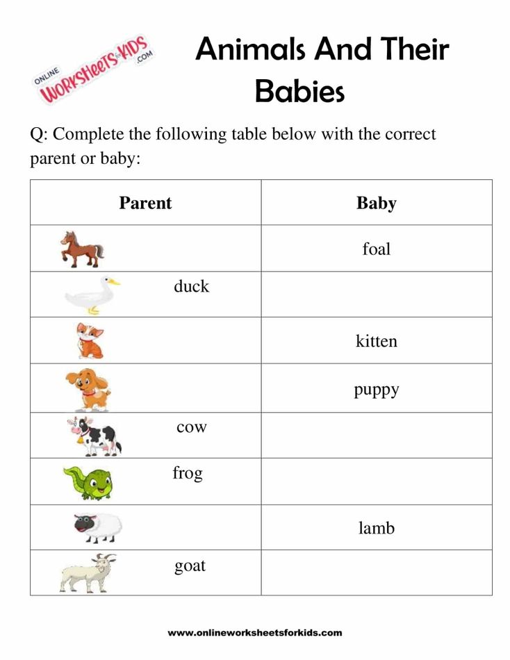 Animal And Their Babies Worksheet for Grade 1-9