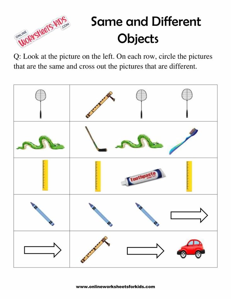 Circle The Object That Is The Same 5