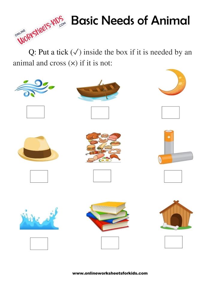 Basic Needs of Animal Worksheet for grade 1-7