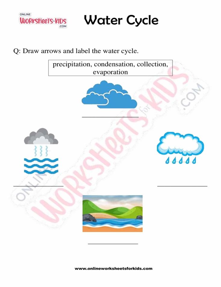 Water cycle worksheets For Kids 09