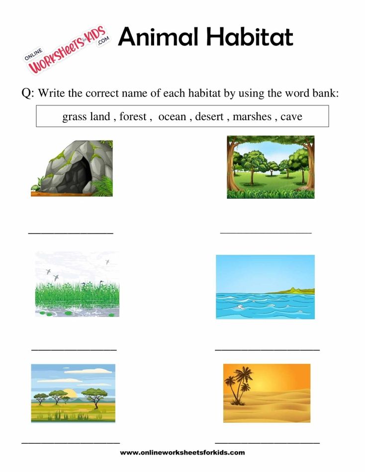 Animal Habitats Worksheets for Grade 1-2