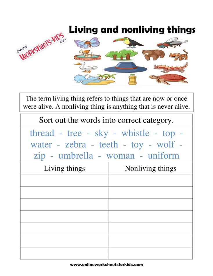 Living And Non Living Things Worksheets 1